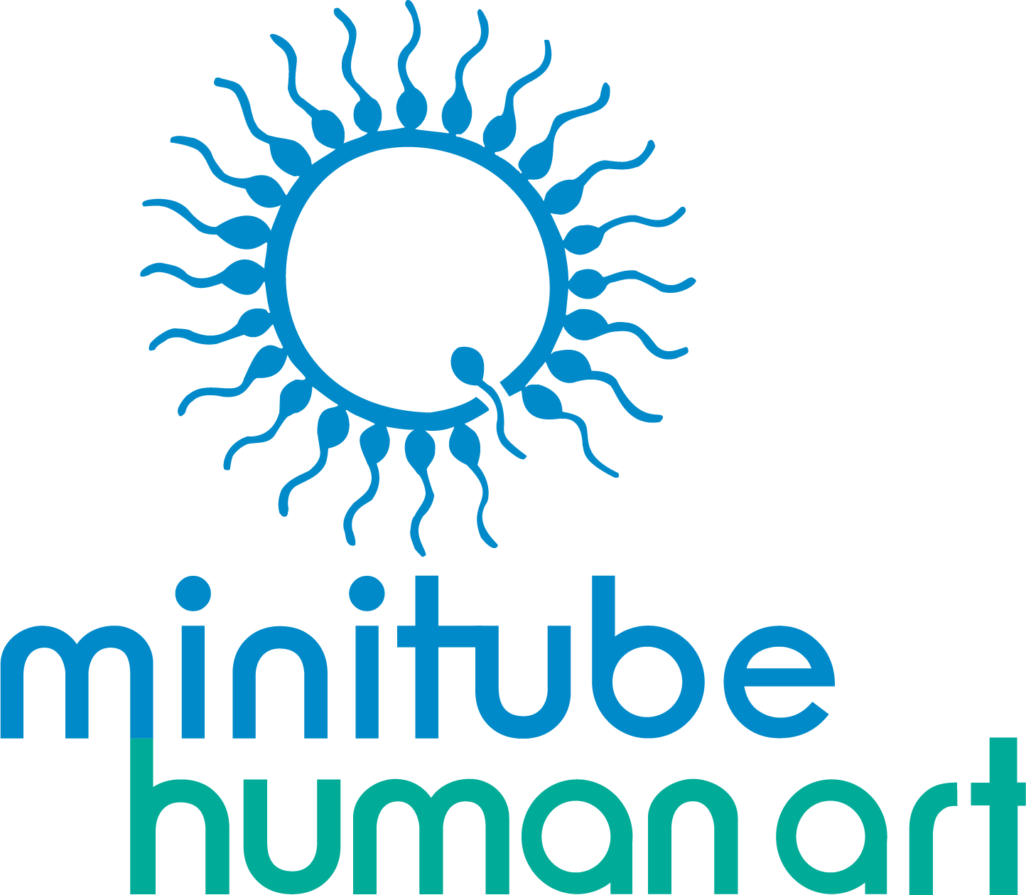 The Minitube Human ART logo, featuring a blue sun-shaped icon made of stylized sperm cells above the brand name.